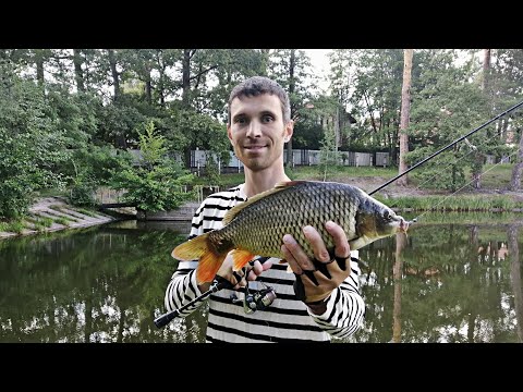 Видео: Я ждал его поклёвку! Карп на микроджиг на Baby Rockfish 1,4"