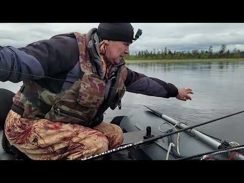 Видео: На рыбалку за сигом на реку. Ловлю сига.