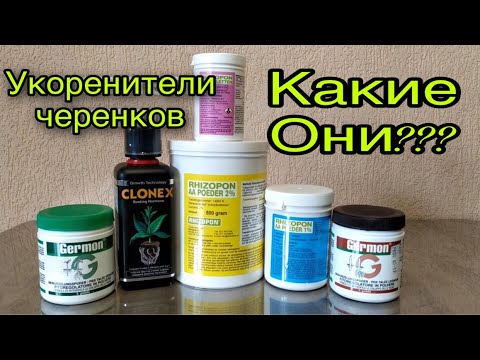 Видео: Укоренители черенков-Какие они????