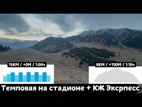 Видео: Темповая на стадионе + КЖ Экспресс изи 🏃‍♂️ | Pedro Vizuete