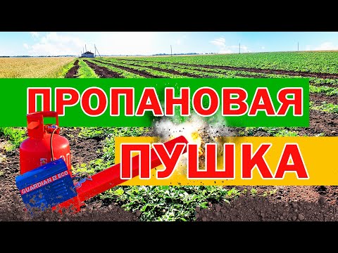 Видео: Пропановая пушка 💥 19 06 21