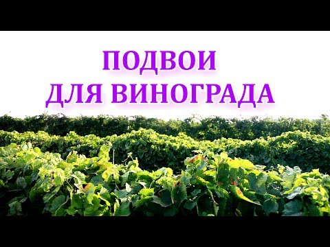 Видео: ПОДВОЙ ДЛЯ ВИНОГРАДА , Кобер 5ББ, СО4 , и зачем делают привитые саженцы винограда?!