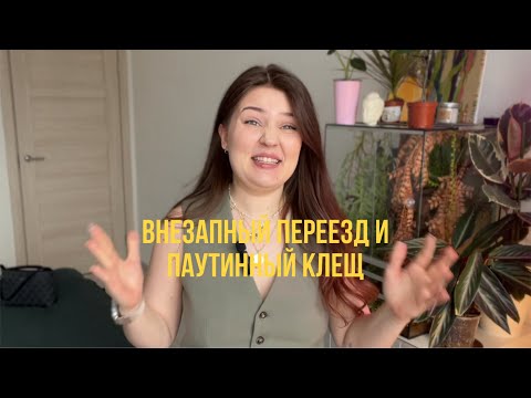 Видео: Переезд с 40 растениями и обзор коллекции