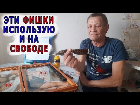 Видео: Вспоминая случай на охоте. Немало повидал за срок.