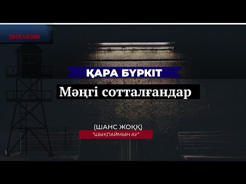Видео: ЧЕРНЫЙ БЕРКУТ/  ЭКСКЛЮЗИВ! Қара Бүркіт