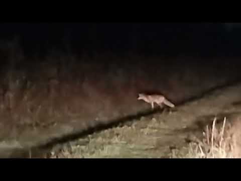 Видео: 21 сентября 2025 г.