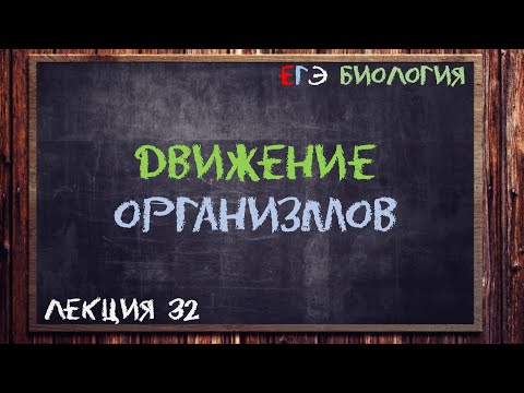 Видео: Л.32 | ДВИЖЕНИЕ ОРГАНИЗМОВ | ОБЩАЯ БИОЛОГИЯ ЕГЭ