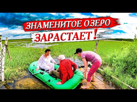 Видео: 436. Озеро Шайтан зарастает! Благодать на мистическом месте. Деревня  Окунево Омская область.