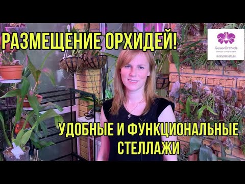 Видео: Размещение орхидей! Удобные и функциональные стеллажи