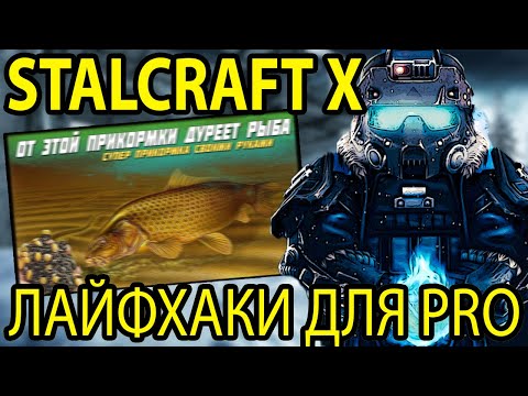 Видео: STALCRAFT X l PRO ИГРОКИ ДУРЕЮТ С ЭТИХ ЛАЙФХАКОВ