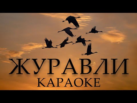 Видео: ЖУРАВЛИ КАВЕР / КАРАОКЕ { KORG PA1000 }