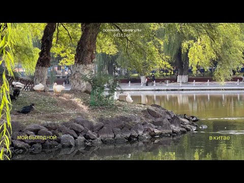 Видео: мой день в китайском университете на осенних каникулах 