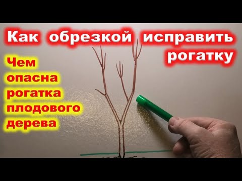 Видео: Исправление КРОНЫ с РОГАТКОЙ