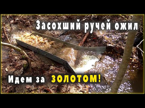 Видео: Промывка на шлюзе. Засохший ручей ожил. Самодельный шлюз