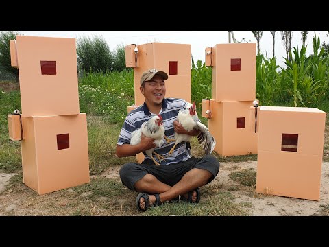 Видео: Тоок багып ПАЙДА ТАП!  Инкубатор аппараттарын алып ЖӨЖӨ чыгар