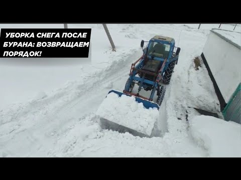 Видео: Уборка снега после буранов: возвращаем порядок. #Казахстан #жизньвказахстане