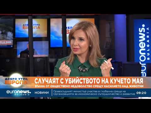 Видео: Психолог за прегазеното в София куче:Това, че извършителят е лекар, обостря общественото недоволство