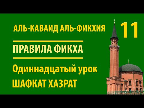 Видео: Правила Фикха | 11-ое правило: Об ошибочном мнении | Шафкат хазрат Абубекеров