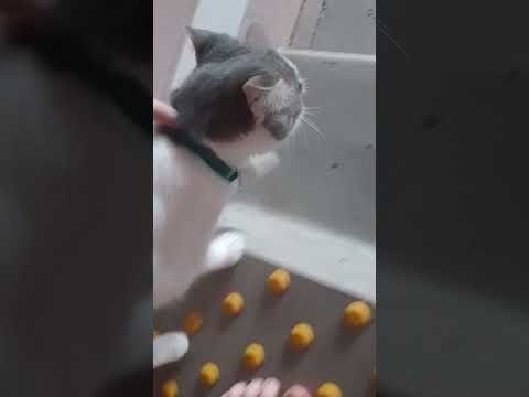 Видео: 30 октября 2025 г.