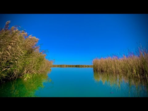 Видео: РЫБАЛКА НА УДИВИТЕЛЬНОМ ОЗЕРЕ, ДИКИЕ АТАКИ СУДАКА НА ДЖИГ,ТАКИЕ УДАРЫ ПО СПИНИНГУ ТОЛЬКО ОСЕНЬЮ