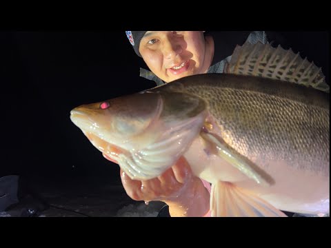 Видео: ВЫТАЩИЛ ОГРОМНОГО СУДАКА В ОДНОГО, БЕЗ БАГРА..#судак #рыбалка #рыба #рыбы #рыбак #рыбалкаиохота