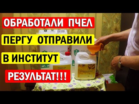 Видео: Энтеронормин - ЛУЧШЕЕ средство для ЗДОРОВЬЯ Пчел! Какие результаты лабораторных исследований?