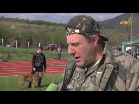 Видео: БЪЛГАРСКИЯТ БАРАК В БОРБА ЗА СВЕТОВНО ПРИЗНАНИЕ