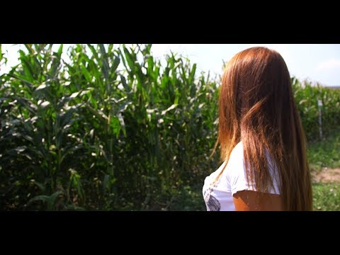 Видео: Здрави растения в здрава почва – природата има решение