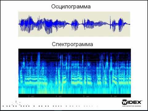 Видео: Основы акустики и психоакустики