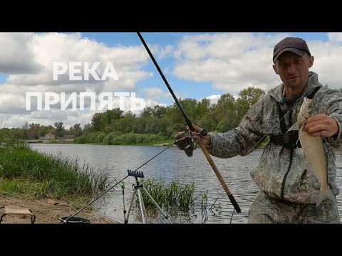 Видео: РЫБА ПЛАВАЕТ С РУЛЕТКОЙ  ОБМАНЫВАЕМ ЛЕЩА ПЕРЛОВКОЙ, КРЮЧКИ ПОВОДКИ НА ЛЕЩА