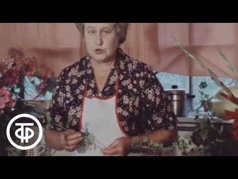 Видео: Наш сад. Готовим утку с полынью (1986)