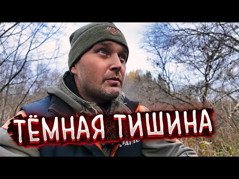 Видео: ЛЕСНЫЕ ИСПЫТАНИЯ: ТРУДНЫЙ МАРШРУТ К ТАИНСТВЕННОЙ РЕКЕ ХИЩНИКОВ.