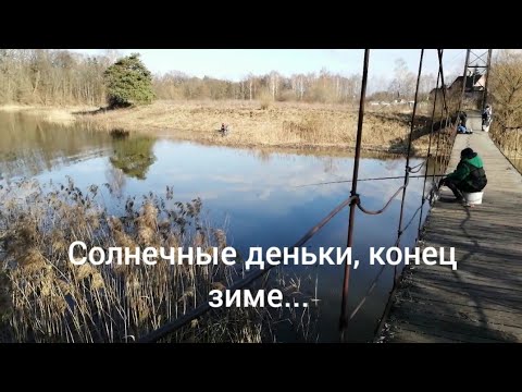 Видео: Солнечные деньки, конец зиме, гуляем. ГЭС, ул. Электрическая.