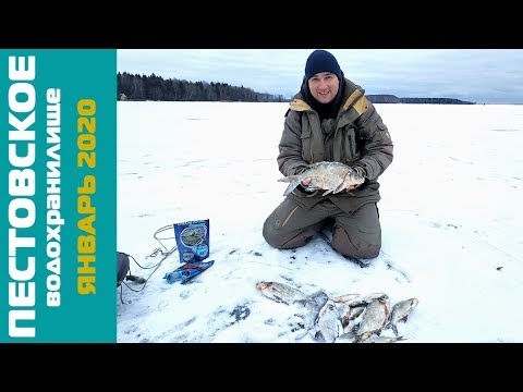 Видео: Зимняя Рыбалка 2020 г. на Пестовском водохранилище!