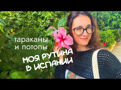 Видео: МОЯ ЖИЗНЬ В ИСПАНИИ | рутина в Испании | потопы, тараканы и пляжи