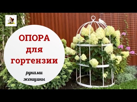 Видео: Опора для гортензии из металла в виде клетки. Опора для пиона.