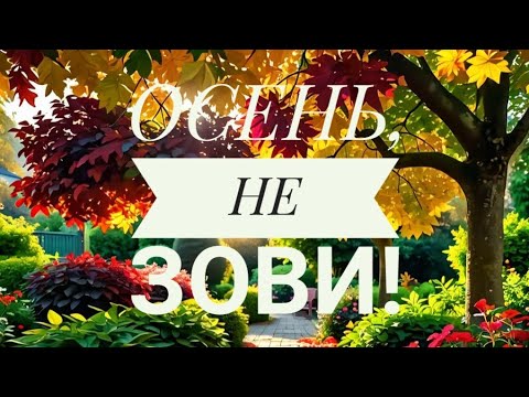 Видео: Песня ОСЕНЬ, НЕ ЗОВИ!
