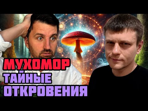 Видео: Мухоморы: мистические откровения проводника