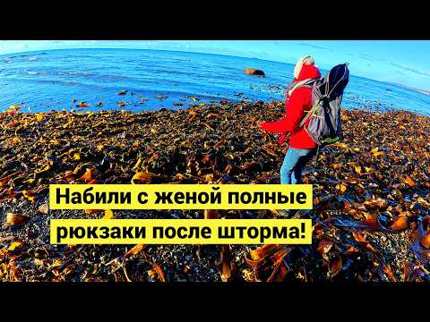 Видео: Щедрый шторм! Набили с женой полные рюкзаки!