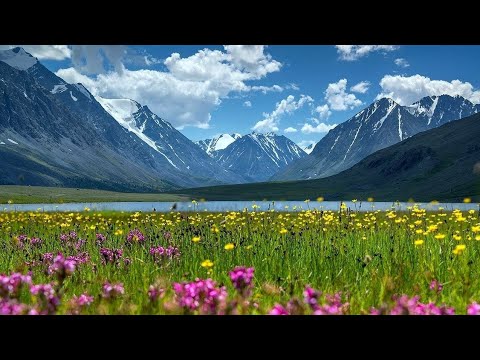 Видео: 11 сентября 2025 г.