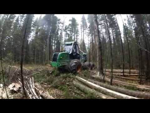 Видео: Харвестер Амкодор 2551, тест-драйв в Томской области