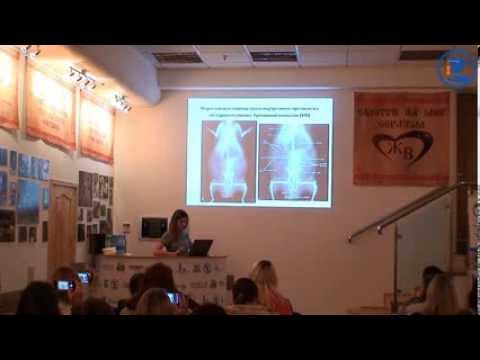 Видео: Мастер-класс: «Подход к диагностике и лечению абдоминальных болей морских свинок»