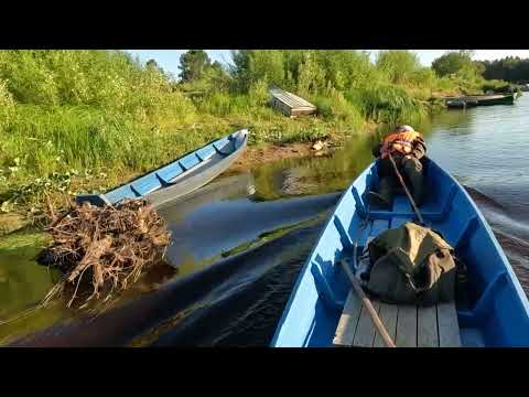 Видео: Можно ли есть сыктывкарский бородинский хлеб #3