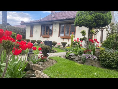 Видео: КРАСИВИЙ САД без догляду ??? Так не буває….