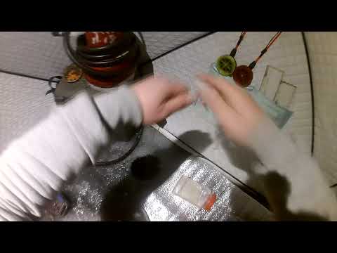 Видео: Ловля рипуса на озере Инголь  25.12.2021г.