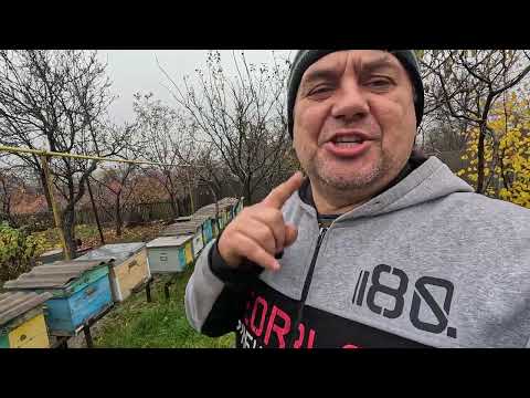 Видео: ✅ Лучшая Система Ульев! Взгляд по новому! Для Начинающих и не только! #пчеловодство1