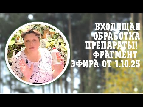 Видео: ВХОДЯЩАЯ ОБРАБОТКА. ПРЕПАРАТЫ. ФРАГМЕНТ ЭФИРА ОТ 1-10-2025