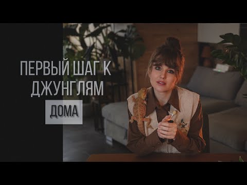 Видео: ОШИБКИ НАЧИНАЮЩИХ. ПЕРЕСАЖИВАЕМ И БОЛТАЕМ🪴 #пересадка #комнатныерастения #алоказия #монстера