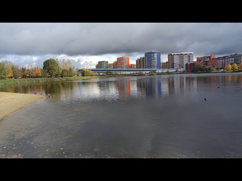 Видео: Путешествие в Дубну - город учёных физиков.