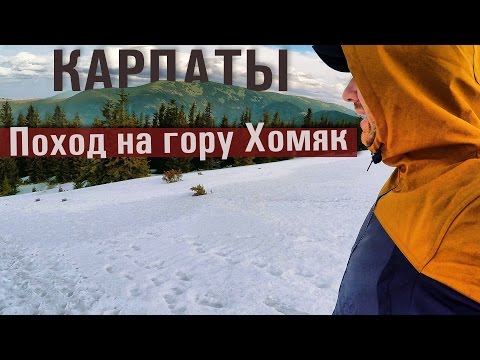 Видео: Поход выходного дня на гору Хомяк // КАРПАТЫ //Carpathians